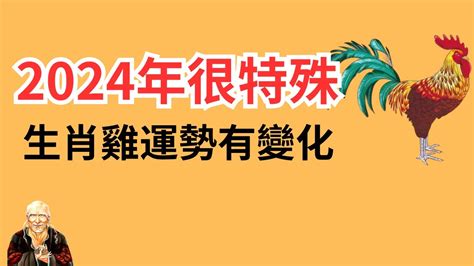 生肖雞的幸運色|雞年開運色：2024年必備指南